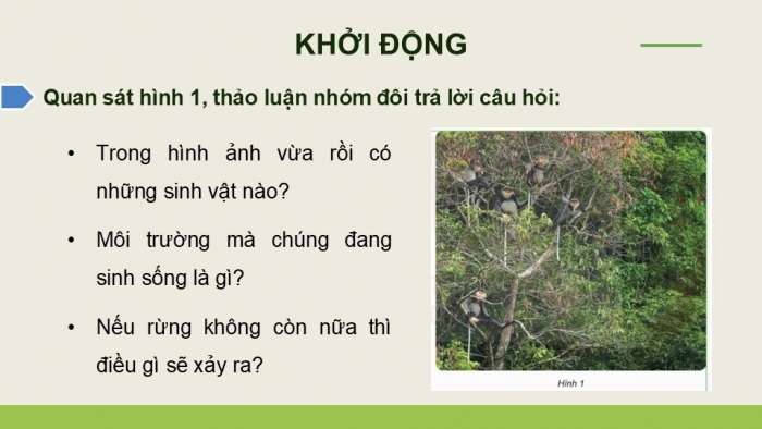 Giáo án điện tử Khoa học 5 kết nối Bài 29: Tác động của con người và một số biện pháp bảo vệ môi trường