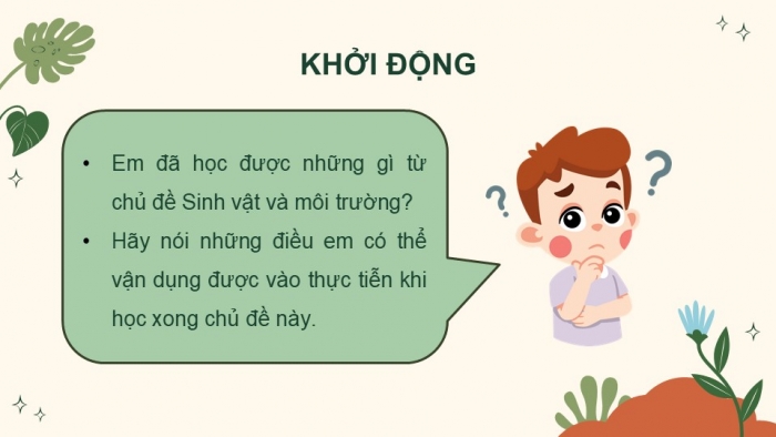 Giáo án điện tử Khoa học 5 kết nối Bài 30: Ôn tập chủ đề Sinh vật và môi trường