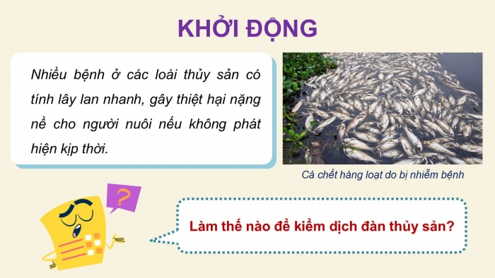 Giáo án điện tử Công nghệ 12 Lâm nghiệp - Thủy sản Kết nối Bài 25: Ứng dụng công nghệ sinh học trong phòng, trị bệnh thủy sản