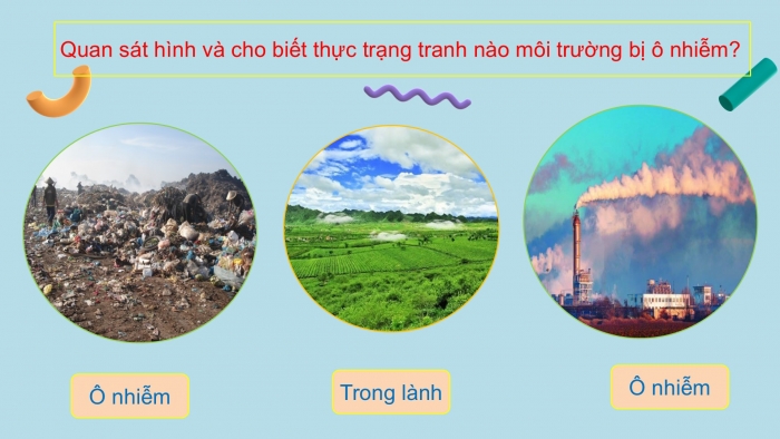 Giáo án PPT HĐTN 2 chân trời Chủ đề 8 Tuần 29
