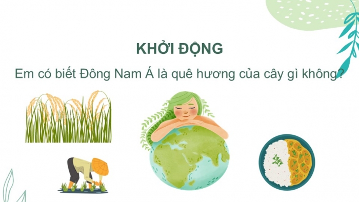 Giáo án PPT Lịch sử 6 kết nối Bài 12: Sự hình thành và bước đầu phát triển của các vương quốc phong kiến ở Đông Nam Á (từ thế kỉ VII đến thế kỉ X)