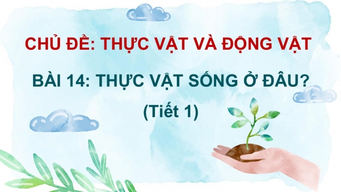 Giáo án PPT Tự nhiên và Xã hội 2 chân trời Bài 14: Thực vật sống ở đâu?