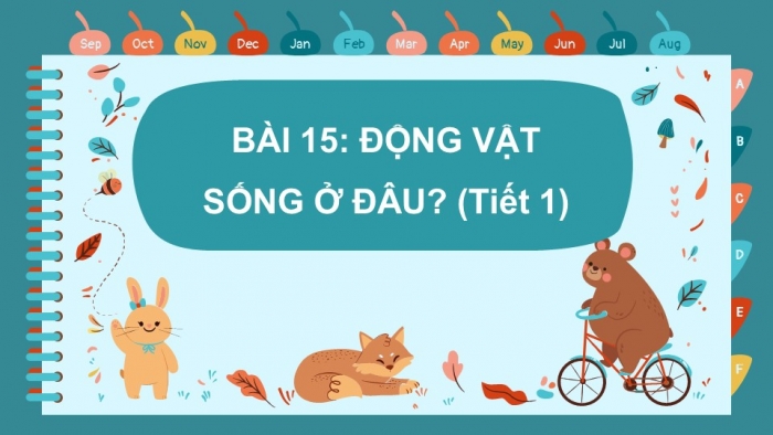 Giáo án PPT Tự nhiên và Xã hội 2 chân trời Bài 15: Động vật sống ở đâu?