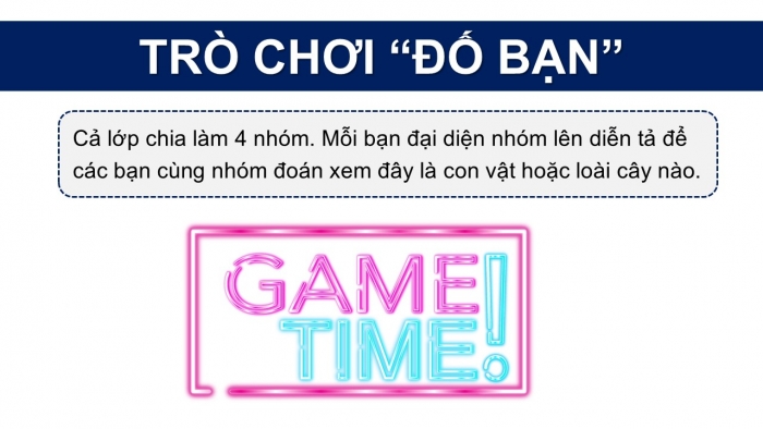 Giáo án PPT Tự nhiên và Xã hội 2 chân trời Bài 18: Ôn tập chủ đề Thực vật và động vật