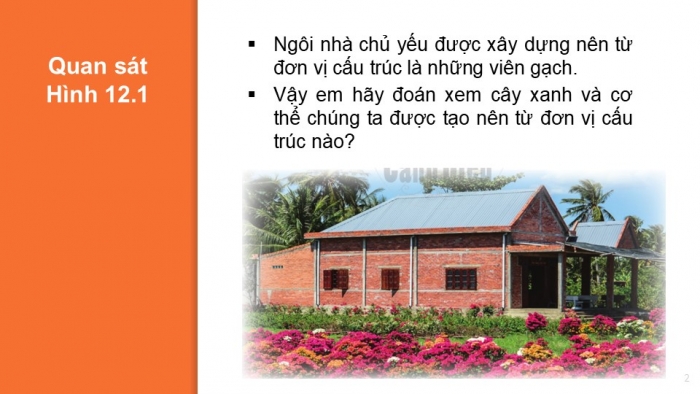 Giáo án PPT KHTN 6 cánh diều Bài 12: Tế bào – đơn vị cơ sở của sự sống