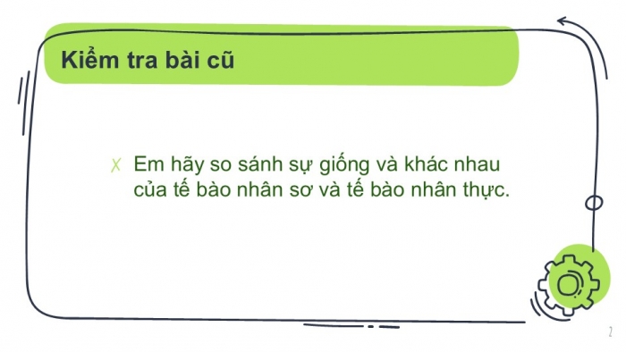 Giáo án PPT KHTN 6 cánh diều Bài 13: Từ tế bào đến cơ thể