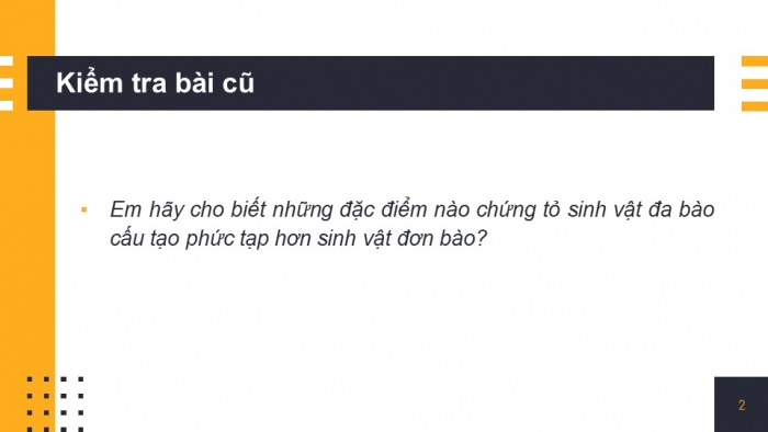 Giáo án PPT KHTN 6 cánh diều Bài 14: Phân loại thế giới sống