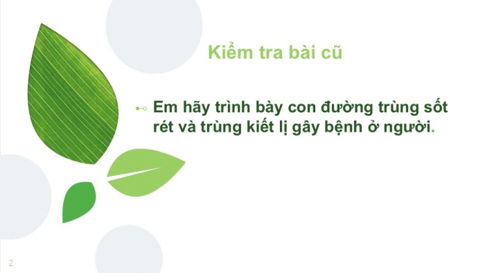 Giáo án PPT KHTN 6 cánh diều Bài 18: Đa dạng nấm