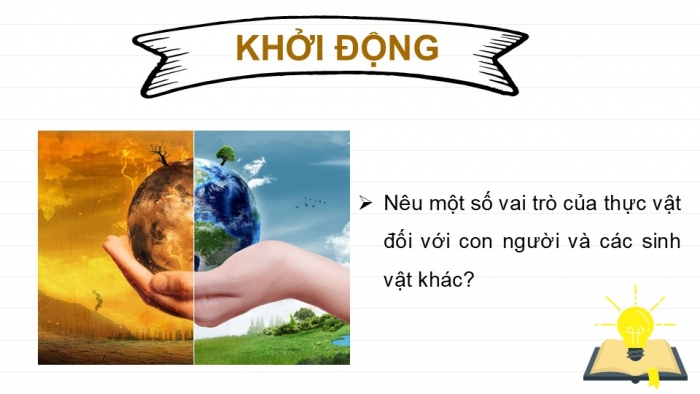 Giáo án PPT KHTN 6 cánh diều Bài 20: Vai trò của thực vật trong đời sống và trong tự nhiên