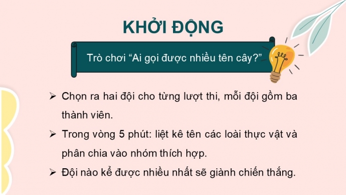 Giáo án PPT KHTN 6 cánh diều Bài 21: Thực hành phân chia các nhóm thực vật