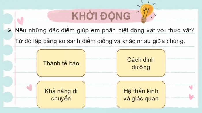 Giáo án PPT KHTN 6 cánh diều Bài 22: Đa dạng động vật không xương sống