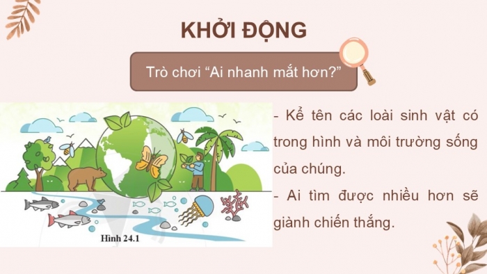 Giáo án PPT KHTN 6 cánh diều Bài 24: Đa dạng sinh học