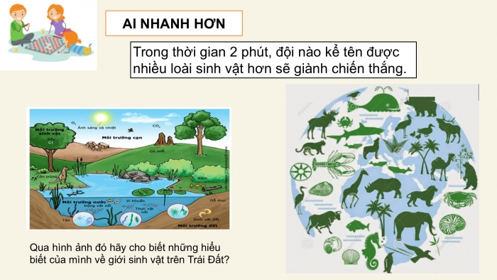 Giáo án PPT Địa lí 6 kết nối Bài 23: Sự sống trên Trái Đất