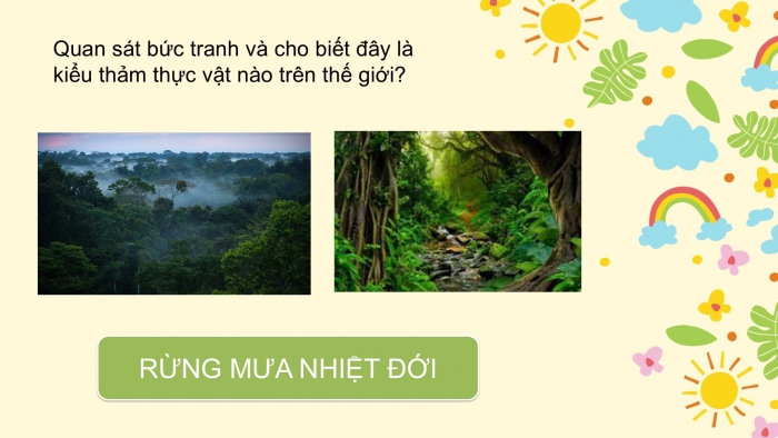 Giáo án PPT Địa lí 6 kết nối Bài 24: Rừng nhiệt đới