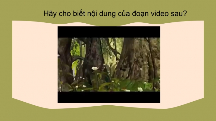 Giáo án PPT Địa lí 6 cánh diều Bài 26 Thực hành: Tìm hiểu tác động của con người lên môi trường tự nhiên trong sản xuất