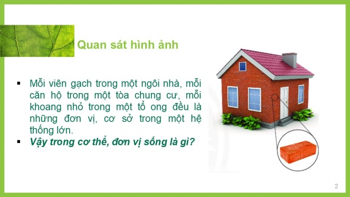 Giáo án PPT KHTN 6 chân trời Bài 17: Tế bào