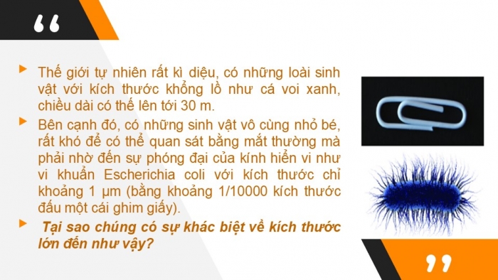 Giáo án PPT KHTN 6 chân trời Bài 19: Cơ thể đơn bào và cơ thể đa bào