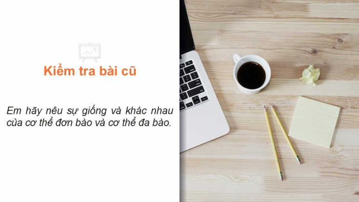 Giáo án PPT KHTN 6 chân trời Bài 20: Các cấp độ tổ chức trong cơ thể đa bào