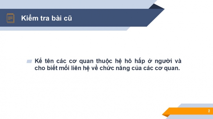 Giáo án PPT KHTN 6 chân trời Bài 21: Thực hành quan sát sinh vật