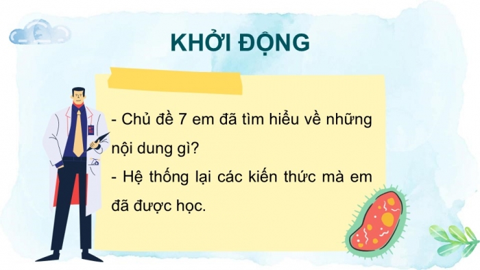 Giáo án PPT KHTN 6 chân trời Ôn tập Chủ đề 7