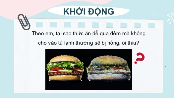 Giáo án PPT KHTN 6 chân trời Bài 25: Vi khuẩn