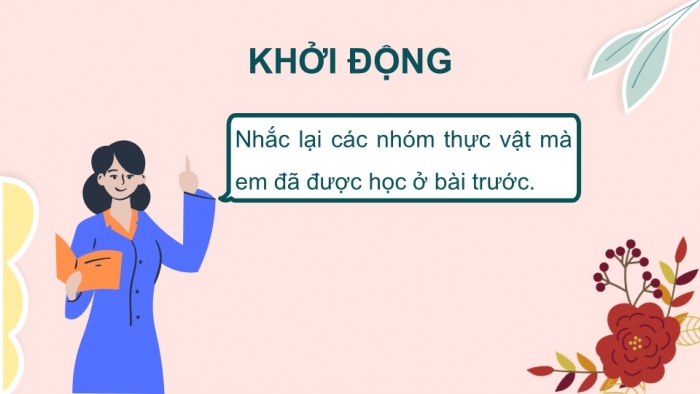 Giáo án PPT KHTN 6 chân trời Bài 30: Thực hành phân loại thực vật