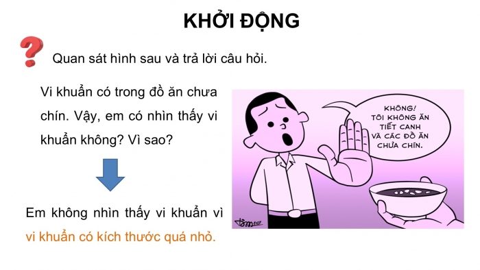 Giáo án điện tử Khoa học 5 cánh diều Bài 12: Vi khuẩn và vi khuẩn gây bệnh ở người