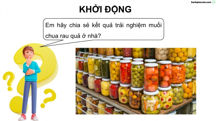 Giáo án điện tử Khoa học 5 cánh diều Bài Ôn tập chủ đề Vi khuẩn