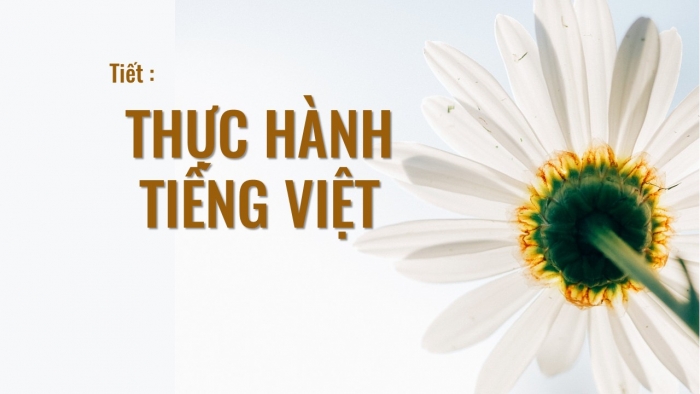 Giáo án PPT Ngữ văn 6 cánh diều Bài 5: Thực hành tiếng Việt