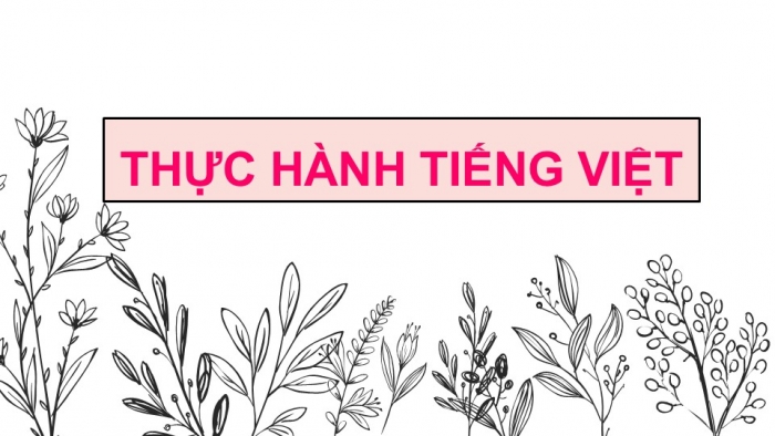 Giáo án PPT Ngữ văn 6 cánh diều Bài 6: Thực hành tiếng Việt