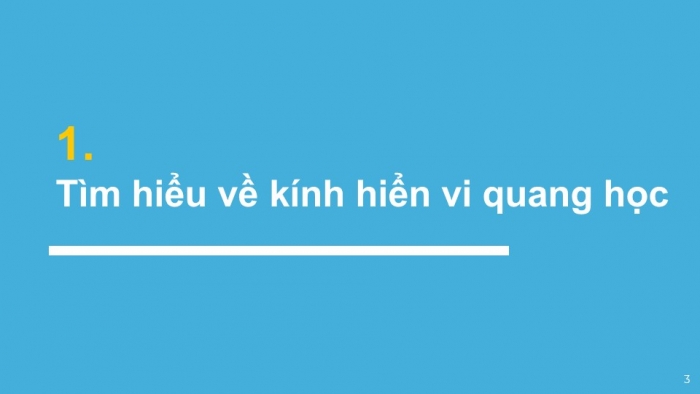 Giáo án PPT KHTN 6 kết nối Bài 4: Sử dụng kính hiển vi quang học