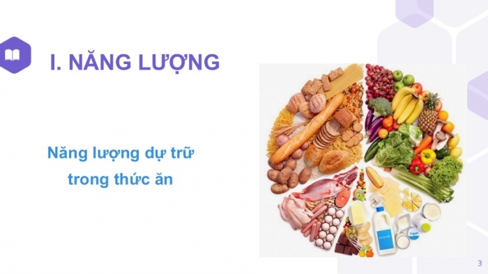 Giáo án PPT KHTN 6 kết nối Bài 46: Năng lượng và sự truyền năng lượng