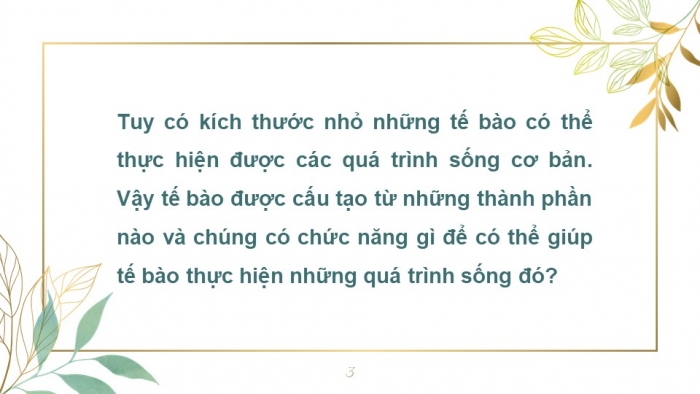 Giáo án PPT KHTN 6 kết nối Bài 19: Cấu tạo và chức năng các thành phần của tế bào