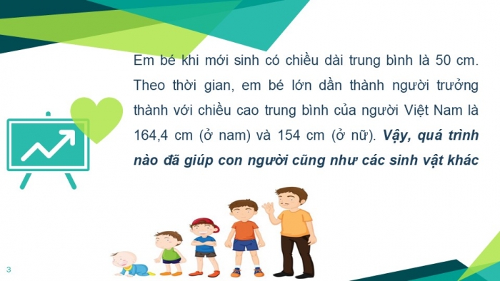 Giáo án PPT KHTN 6 kết nối Bài 20: Sự lớn lên và sinh sản của tế bào