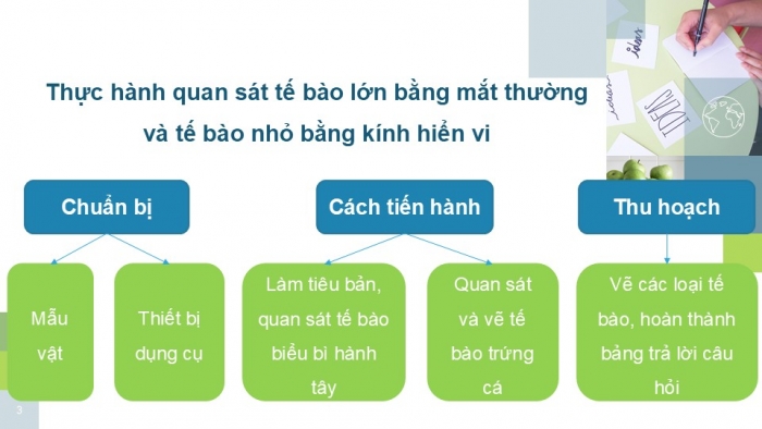 Giáo án PPT KHTN 6 kết nối Bài 21 Thực hành: Quan sát và phân biệt một số loại tế bào