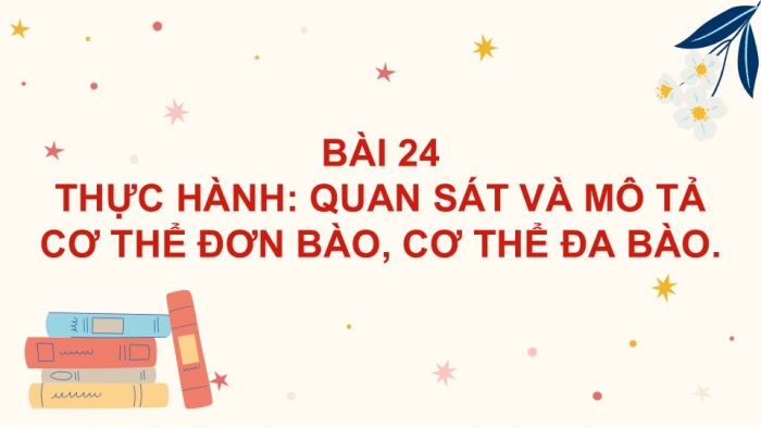 Giáo án PPT KHTN 6 kết nối Bài 24 Thực hành: Quan sát và mô tả cơ thể đơn bào, cơ thể đa bào