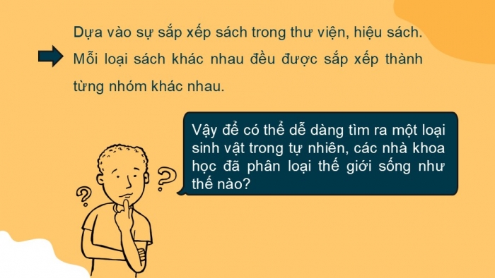 Giáo án PPT KHTN 6 kết nối Bài 25: Hệ thống phân loại sinh vật