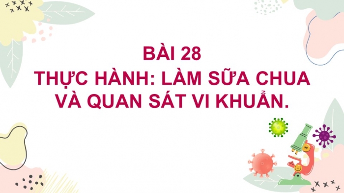 Giáo án PPT KHTN 6 kết nối Bài 28 Thực hành: Làm sữa chua và quan sát vi khuẩn