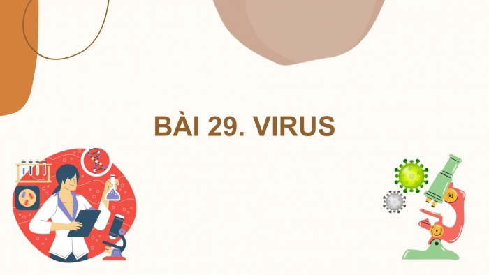 Giáo án PPT KHTN 6 kết nối Bài 29: Virus