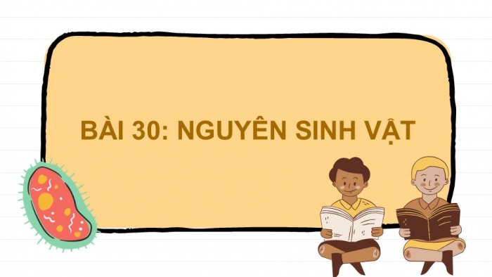 Giáo án PPT KHTN 6 kết nối Bài 30: Nguyên sinh vật