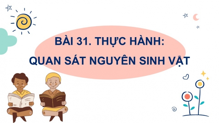 Giáo án PPT KHTN 6 kết nối Bài 31 Thực hành: Quan sát nguyên sinh vật