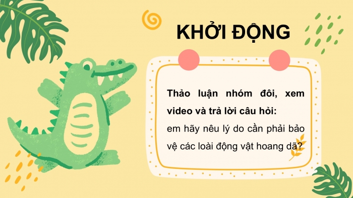 Giáo án PPT dạy thêm Tiếng Việt 5 chân trời bài 6: Bài đọc Thiên đường của các loài động vật hoang dã. Viết đoạn kết bài cho bài văn tả người