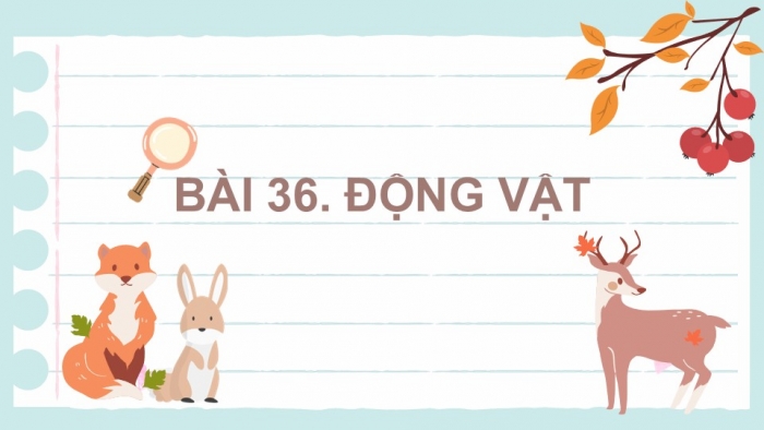 Giáo án PPT KHTN 6 kết nối Bài 36: Động vật