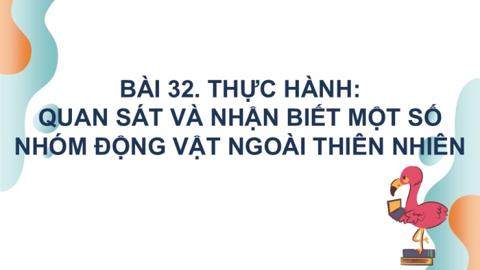 Giáo án PPT KHTN 6 kết nối Bài 37 Thực hành: Quan sát và nhận biết một số nhóm động vật ngoài thiên nhiên