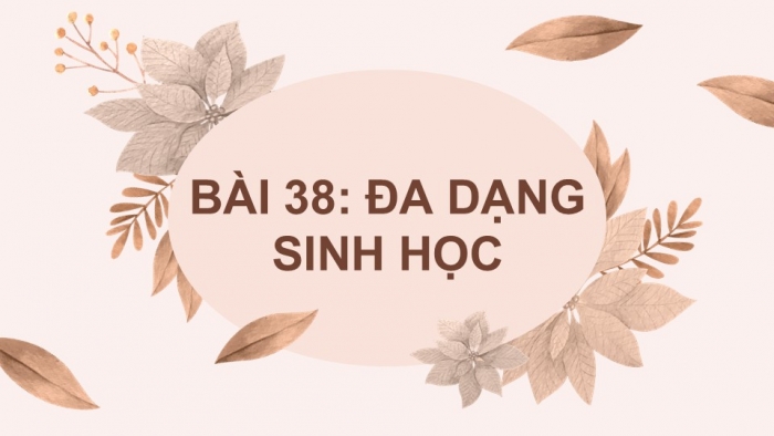 Giáo án PPT KHTN 6 kết nối Bài 38: Đa dạng sinh học