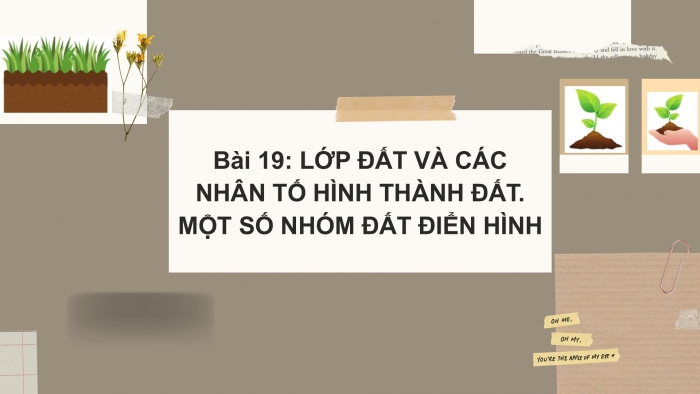 Giáo án PPT Địa lí 6 chân trời Bài 19: Lớp đất và các nhân tố hình thành đất. Một số nhóm đất điển hình