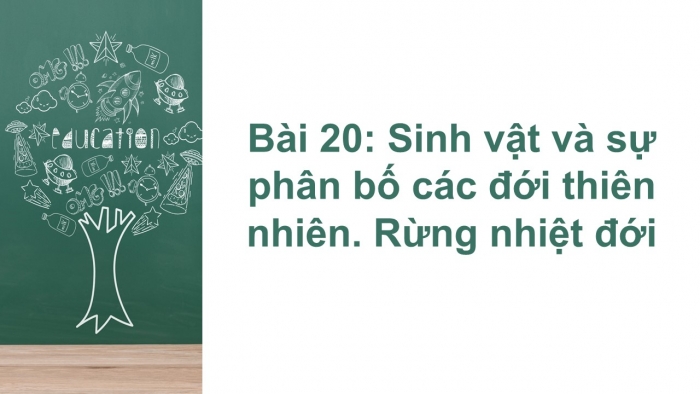 Giáo án PPT Địa lí 6 chân trời Bài 20: Sinh vật và sự phân bố các đới thiên nhiên. Rừng nhiệt đới