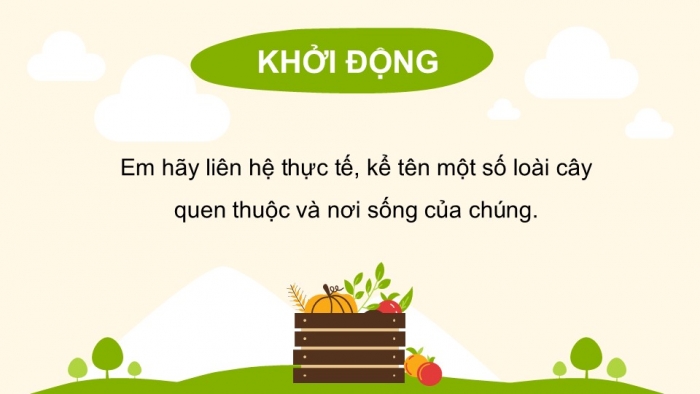 Giáo án PPT Tự nhiên và Xã hội 2 kết nối Bài 16: Thực vật sống ở đâu?