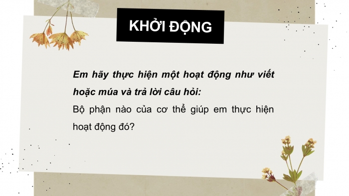 Giáo án PPT Tự nhiên và Xã hội 2 kết nối Bài 21: Tìm hiểu cơ quan vận động