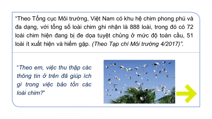 Giáo án PPT Toán 6 chân trời Bài 1: Thu thập và phân loại dữ liệu